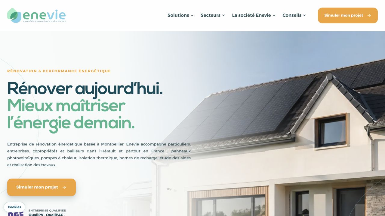 Capture du site de Enevie